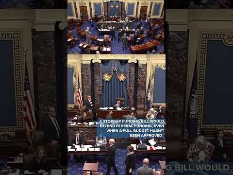 2025 Shutdown update: Dems stopgap fails