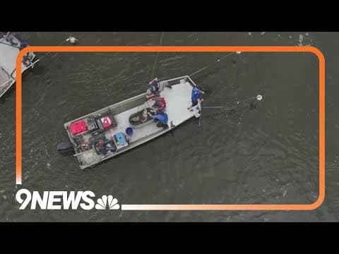 CPW searches for invasive bighead carp in Arvada lake