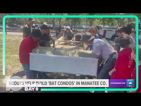 Local scouts install bat condo big enough to host 3,000 bats in Bradenton