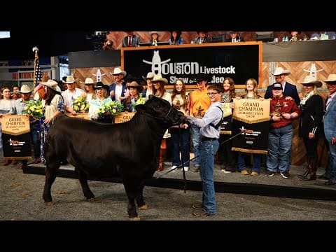 Young Texans rake in nearly $1.4M at RodeoHouston's Junior Market Steer Auction