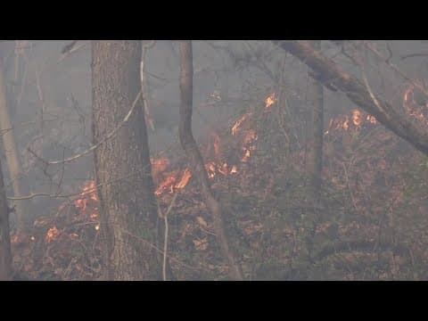 Fire, severe weather experts speak on what elevated fire risk means for East TN