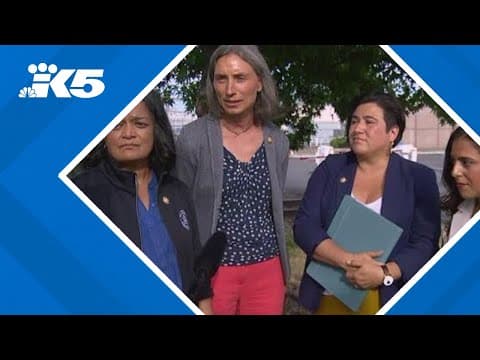 Lawmakers make surprise visit to ICE detention center