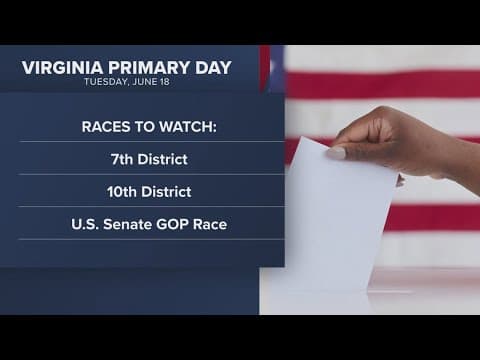 Voter Guide: What to expect from Virginia's second primary