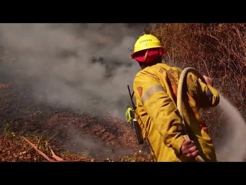 LA County confirms wildfire death toll rises to 16