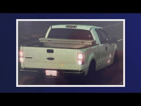 Search for deadly hit and run driver continues