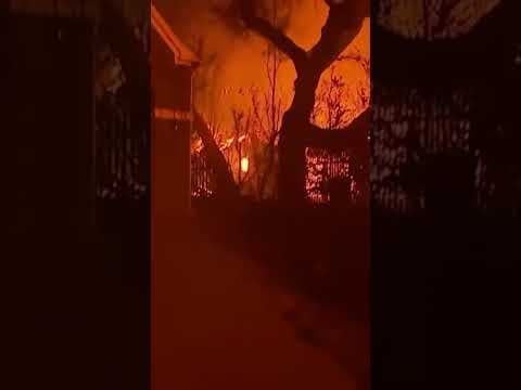 Update on Pacific Palisades fire in California | Mass evacuations in LA #shorts