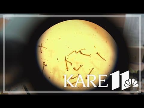 Metropolitan Mosquito Control District calls in seasonal workers three weeks early for mosquito seas