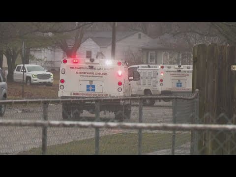 Search for owner, second dog in deadly attack