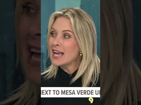 Would you pay $410k for a 452 square foot house?