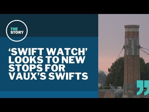 Why aren't the swifts returning to Chapman Elementary? Here's one idea