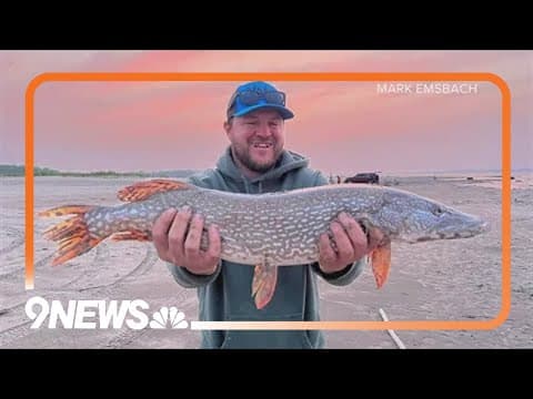 Family remembers Milliken drowning victim