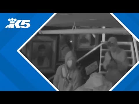 Burglars steal $20K in unusual items from Ballard curiosity shop