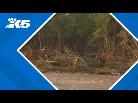 At least 82 dead, another 41 missing in Texas flash floods