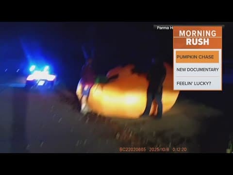 Police officers led on a chase by a rogue pumpkin
