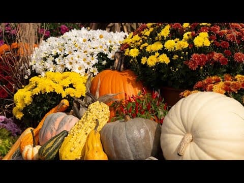 Enjoy the Fall Festival at Reston Farm Garden Market