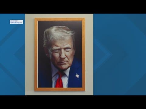 White House unveils new President Trump portrait