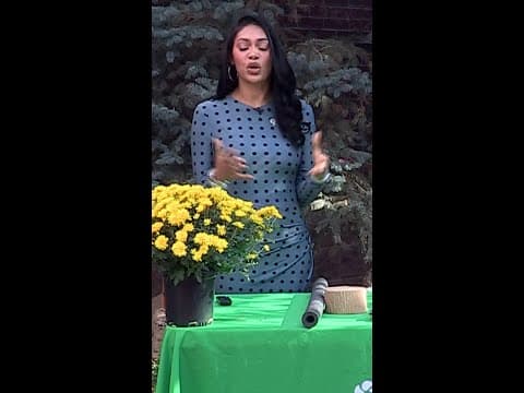 Tips for winterizing your lawn sprinklers