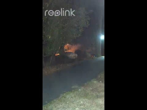 Vehicle explosion rocks Federal Way neighborhood