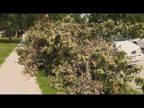Storm debris cleanup across North Texas to extend through July
