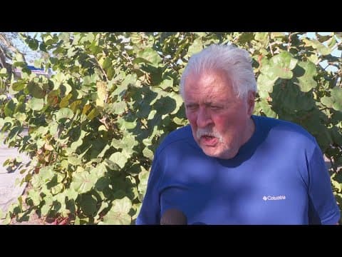 Seniors displaced from St. Pete apartment building still not home nearly 2 months after fire