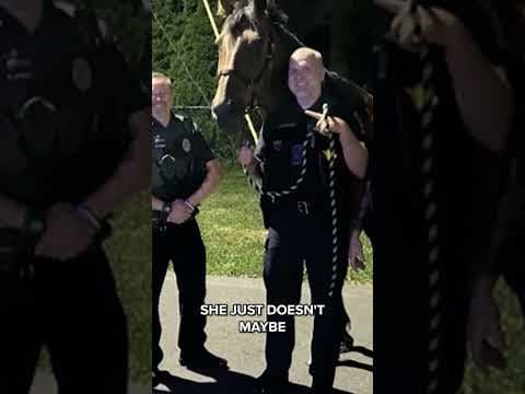 Police catch runaway horse... for the 2nd time this week! #indiana