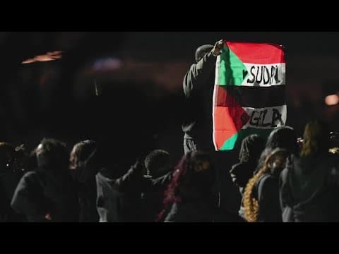 Performer accused of disrupting Super Bowl LIX Halftime Show arrested, police say