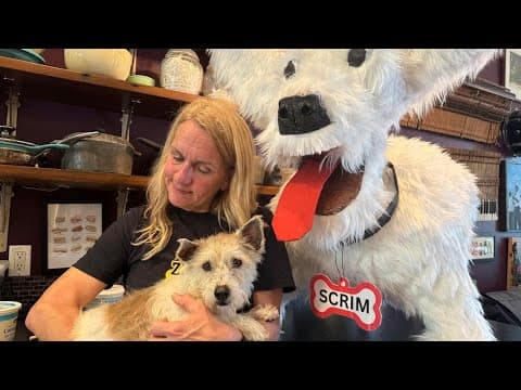 The Breakdown: A timeline of “Houdini Hound” Scrim’s backstory