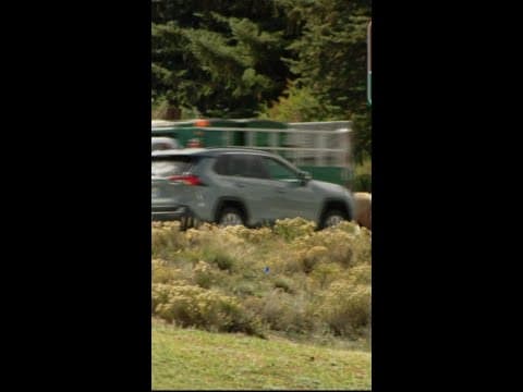 Bull Elk spotted near Estes Park roadway