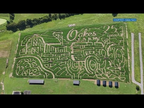 Events to check us this fall in East Tennessee