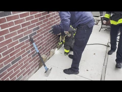 Bargersville firefighters rescue cat stuck for nearly a week