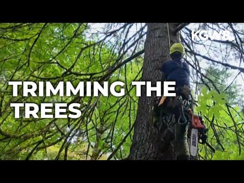 More than 100 arborists volunteer to trim trees at Portland's Hoyt Arboretum