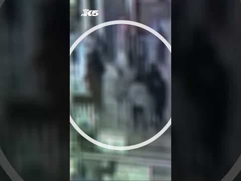 New video shows shooting inside Alderwood Mall #news