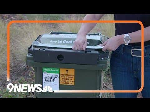 How to stay bear aware heading into fall