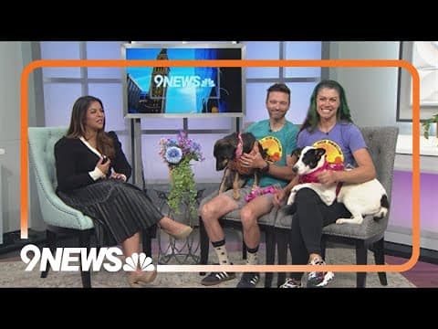 Kordia and Sonnet are sweet sisters looking for a forever home