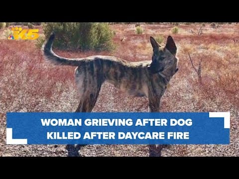 YouTube thumbnail for video dGB3fQyS6E0