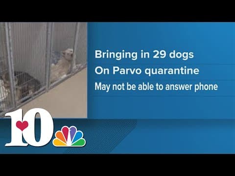 Morristown humane society brings in 29 dogs amidst parvo quarantine