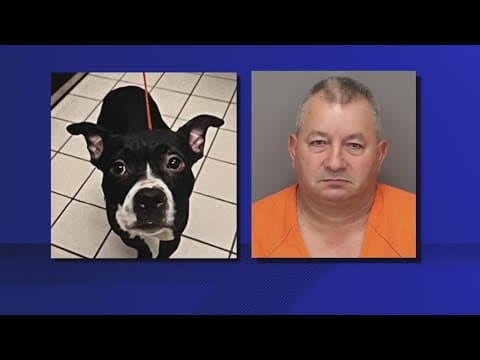 Trial starts for man charged with killing dog he just adopted
