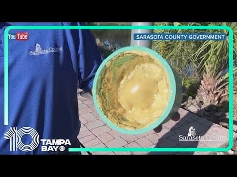 Why you shouldn't put grease or fat down the drain