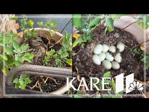 Your Good News: Dan Waldschmidt, Joe Muehlegger