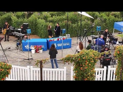 Live with Karl Strauss Brewing | The original craft brewery in Carlsbad