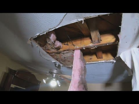 City of New Orleans creates Healthy Homes Rental Registry program to protect renters