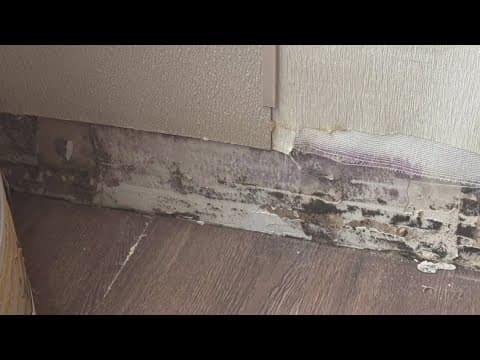 Judge rules lawsuit against Ohio State involving Lawrence Tower mold issue can proceed