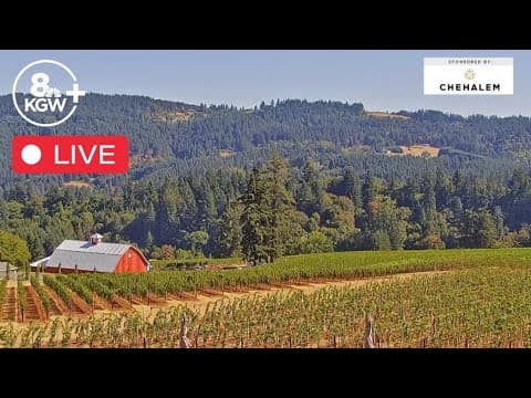 Live Look: Oregon Coast and wine country