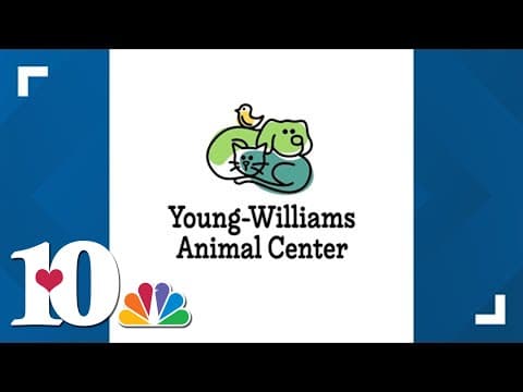 YWAC temporarily closes Bearden location after dog tests positive for distemper