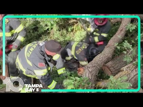 YouTube thumbnail for video djd8F324tcQ