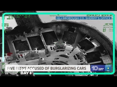 5 teens accused of burglarizing cars in Riverview