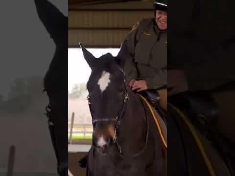 Extreme heat impacts NOPD's finest four legged officer