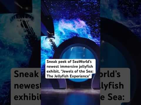 SeaWorld opens newest immersive jellyfish exhibit