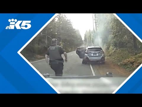 Kitsap Co. deputy saves man and dog from burning car