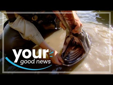 The Oldest Fitness Instructor, Dangerous Man & The Strangest Fish in MN | Your Good News